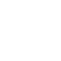Visual