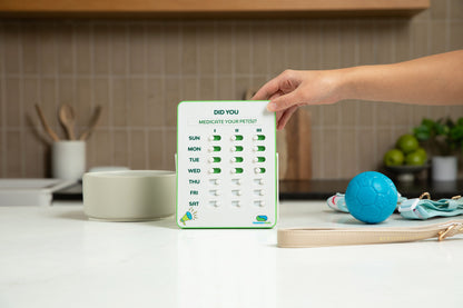 Hand holding a pet medication reminder card on a kitchen counter with a blue ball and pet toys.